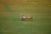 Name: DSC_0713.jpg
Views: 227
Size: 44.3 KB
Description: Sopwith landing