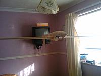 Name: 2011-09-15 08.08.51.jpg
Views: 44
Size: 193.7 KB
Description: 