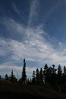 Name: 209.jpg
Views: 151
Size: 67.2 KB
Description: once above the big trees there was big lift
