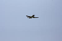 Name: RC Flying 9-3-11 008.jpg
Views: 28
Size: 21.1 KB
Description: Joey's plane in the air.