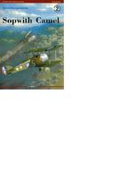 Name: Camel of the 45 Sqn RFC.jpg
Views: 53
Size: 49.1 KB
Description: 