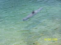 Name: 100_1254.jpg
Views: 201
Size: 96.6 KB
Description: 