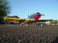 Name: GWS-T6 003.jpg
Views: 698
Size: 77.3 KB
Description: Beaufitul Shot of Pat's Texan!!