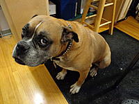 Name: DSC00146.jpg
Views: 199
Size: 211.5 KB
Description: Come On!!! It's 2 o'clock in the morning, can we just go to bed!