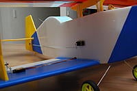 DSC_5293.jpg