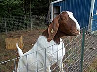 Name: 003.jpg
Views: 28
Size: 294.3 KB
Description: APPA!