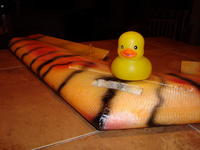 Name: Duck on Ben's plane.jpg
Views: 1244
Size: 68.4 KB
Description: I think the duck needs goggles and a little two sided tape before heading into combat.