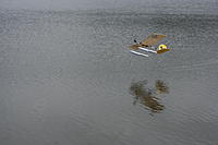 Name: IMG_8036.jpg
Views: 60
Size: 161.1 KB
Description: 