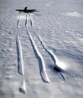 Name: IMG_3733.jpg
Views: 46
Size: 117.4 KB
Description: cool! 'Cobra tracks in the snow...