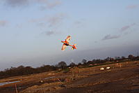 Name: IMG_8989.jpg
Views: 33
Size: 101.7 KB
Description: 