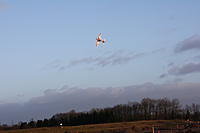 Name: IMG_9005.jpg
Views: 27
Size: 58.4 KB
Description: 
