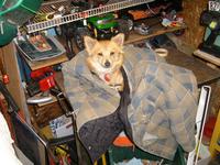Name: spider boogie boat2 002.jpg
Views: 145
Size: 156.2 KB
Description: Buddy Bear 