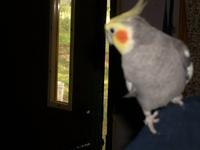 Name: rock craw seq park 005.jpg
Views: 112
Size: 40.5 KB
Description: Ami -may