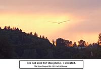 Name: DLG-sunset.jpg
Views: 27
Size: 105.1 KB
Description: Chris Sutton's DLG at 60 Acres South on Wednesday, August 24, 2011.  Which, of course, disqualifies it from this contest.  Photo by Old Coot Cookie.