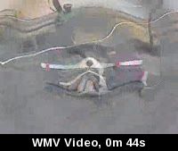 nexstar1c.wmv
