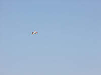 Name: DSCF0984.jpg
Views: 47
Size: 11.6 KB
Description: 