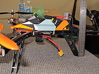 IMG_3647.jpg