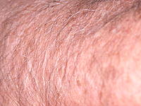 Name: DSCN5041.jpg
Views: 24
Size: 212.1 KB
Description: 