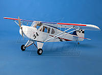 Name: Clipped-Wing-Cub.jpg
Views: 403
Size: 64.6 KB
Description: 