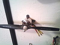 Name: DSC_0020.jpg
Views: 8
Size: 106.9 KB
Description: 