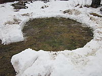 Name: IMG_0020.jpg
Views: 16
Size: 226.0 KB
Description: My Heli/Quad Pad