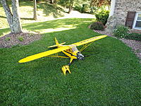 Name: Cub 001.jpg
Views: 33
Size: 310.2 KB
Description: 