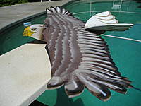 Name: My Eagle 006.jpg
Views: 295
Size: 105.0 KB
Description: 