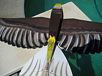 Name: My Eagle 005.jpg
Views: 241
Size: 104.5 KB
Description: 