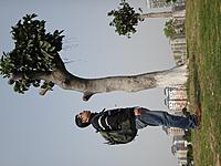 Name: DSC01250.jpg
Views: 145
Size: 210.4 KB
Description: 
