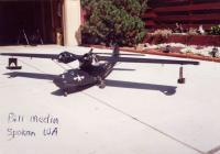 Name: customerBLACK CAT SPOKANE.jpg
Views: 292
Size: 66.6 KB
Description: thens there's the black cats colour!