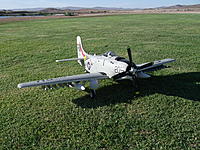 Name: DSCF1463.jpg
Views: 183
Size: 323.0 KB
Description: Out in the sunlight, getting ready for flight...HK really did an outstanding job on the scale appearance of this model....looks like an AD-4N sitting pretty!