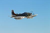Name: Skyraider_011.jpg
Views: 150
Size: 66.8 KB
Description: Looking good on a nice slow flyby...Durafly nailed it with this one...The scale prop looks fantastic!