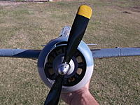 Name: DSCF2587.jpg
Views: 30
Size: 176.5 KB
Description: Looking down the barrel...note the elevators are level in relation to the main wings.