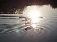 Name: DSCF3834-1.jpg
Views: 58
Size: 130.2 KB
Description: I tried for a really artsy shot like Andy Grose got of his a few years back...