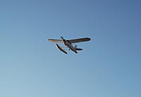 Name: DSCF3838-1.jpg
Views: 42
Size: 44.1 KB
Description: Cruising by as straight as an arrow in the still, early morning air. Notice the water droplets on the wing....