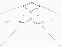 Name: F14 Wing Mod.jpg
Views: 51
Size: 33.7 KB
Description: 