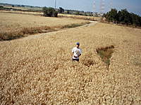 Name: AMG_0053.jpg
Views: 48
Size: 138.4 KB
Description: Aiptek 2mpx Cam