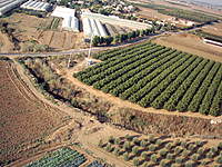Name: IMG_0021.jpg
Views: 33
Size: 142.7 KB
Description: 