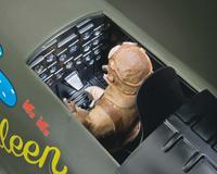 Name: topa0955-cockpit-lg.jpg
Views: 93
Size: 69.7 KB
Description: 