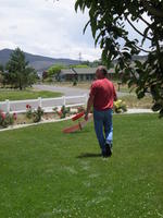 Name: Flying at Mom and Dad's 010.jpg
Views: 233
Size: 129.2 KB
Description: Dad observing my Cap cautiously after performing an semi-successful soft field landing.