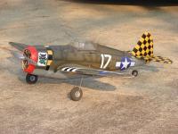 P-47 RCG.jpg