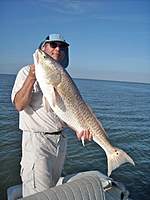 Name: big fish.jpg
Views: 157
Size: 74.9 KB
Description: 
