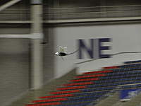 Name: DSC03971.jpg
Views: 62
Size: 47.2 KB
Description: 