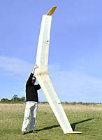 Name: DSC01778.jpg
Views: 297
Size: 104.1 KB
Description: 'Swift' built from Vern Hunt's plans