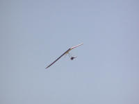 Name: Hang_01.jpg
Views: 101
Size: 38.2 KB
Description: 