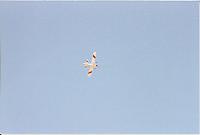 tuesdayjune0820043.jpg