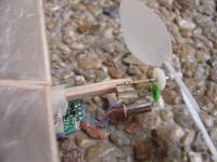 Name: motor.jpg
Views: 220
Size: 65.2 KB
Description: 