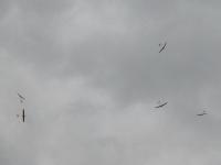Name: DSCN7454.jpg
Views: 468
Size: 31.8 KB
Description: Lots of fun up there.  