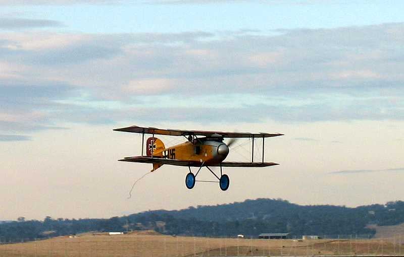 The Albatros flies beautifully!