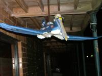 Name: realwarbird02.jpg
Views: 763
Size: 44.5 KB
Description: 